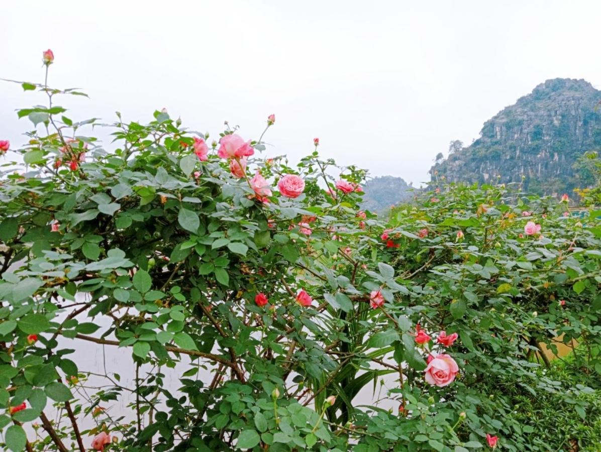Ninh Binh Green Farmstay La Phu  Bagian luar foto