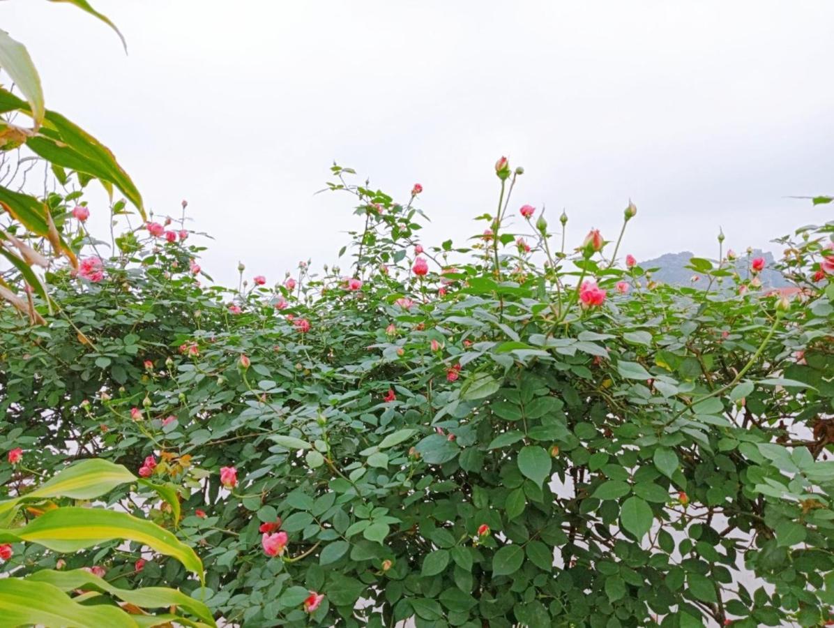 Ninh Binh Green Farmstay La Phu  Bagian luar foto