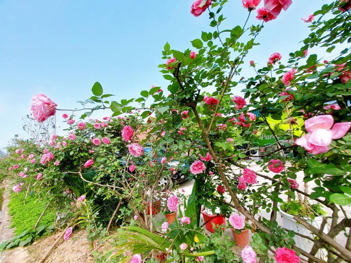Ninh Binh Green Farmstay La Phu  Bagian luar foto