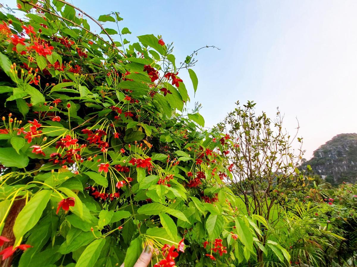 Ninh Binh Green Farmstay La Phu  Bagian luar foto