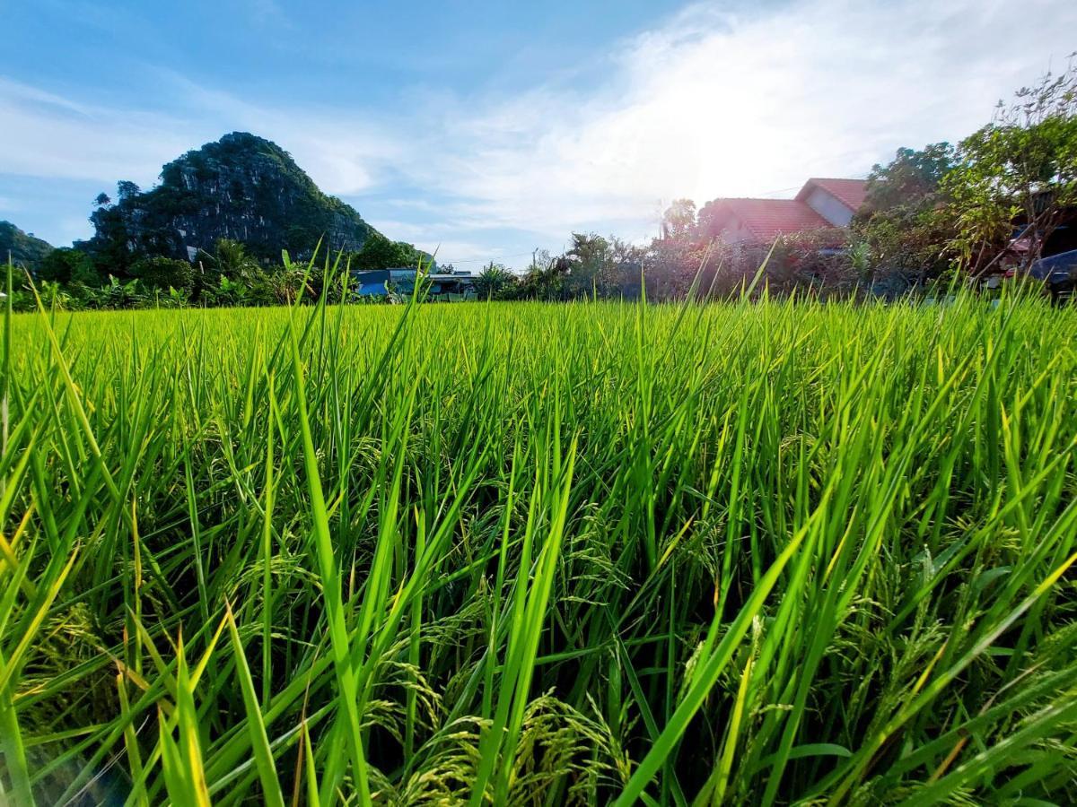 Ninh Binh Green Farmstay La Phu  Bagian luar foto