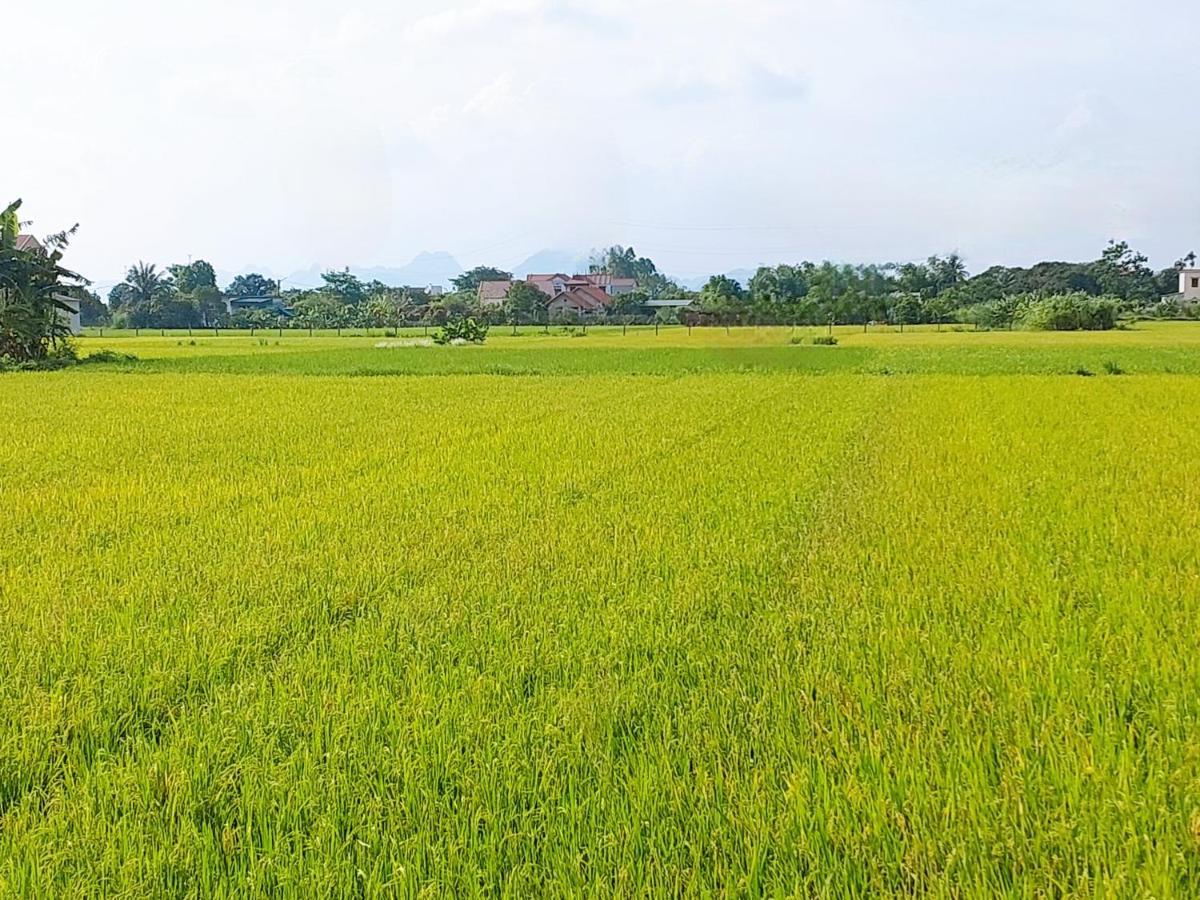 Ninh Binh Green Farmstay La Phu  Bagian luar foto
