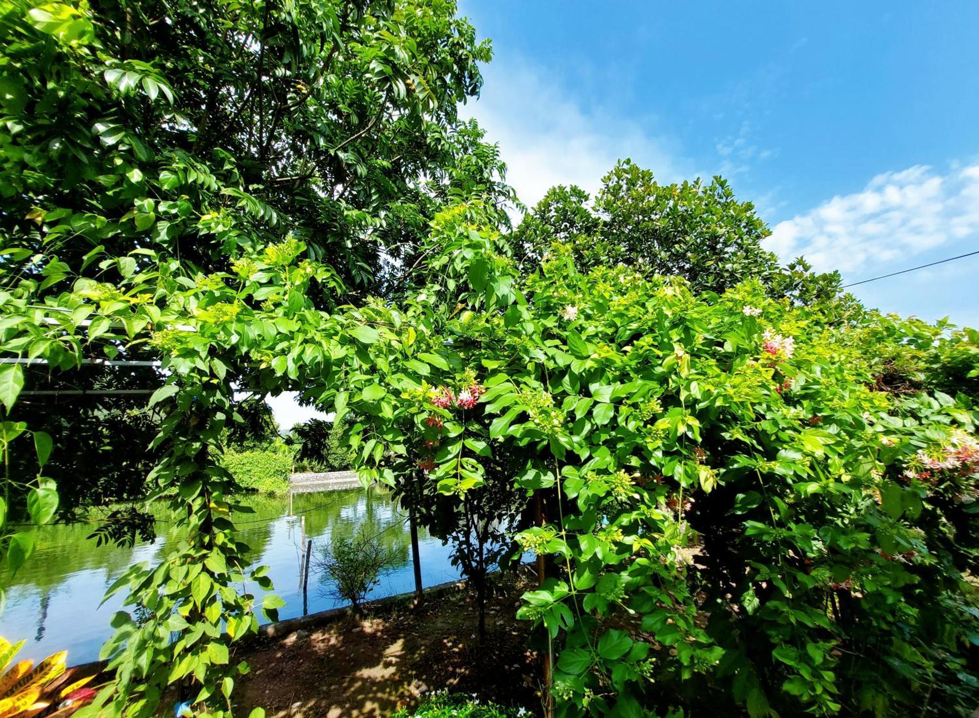 Ninh Binh Green Farmstay La Phu  Bagian luar foto